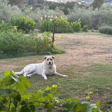 Casa Rural La Recuera Montanchez Bagian luar foto