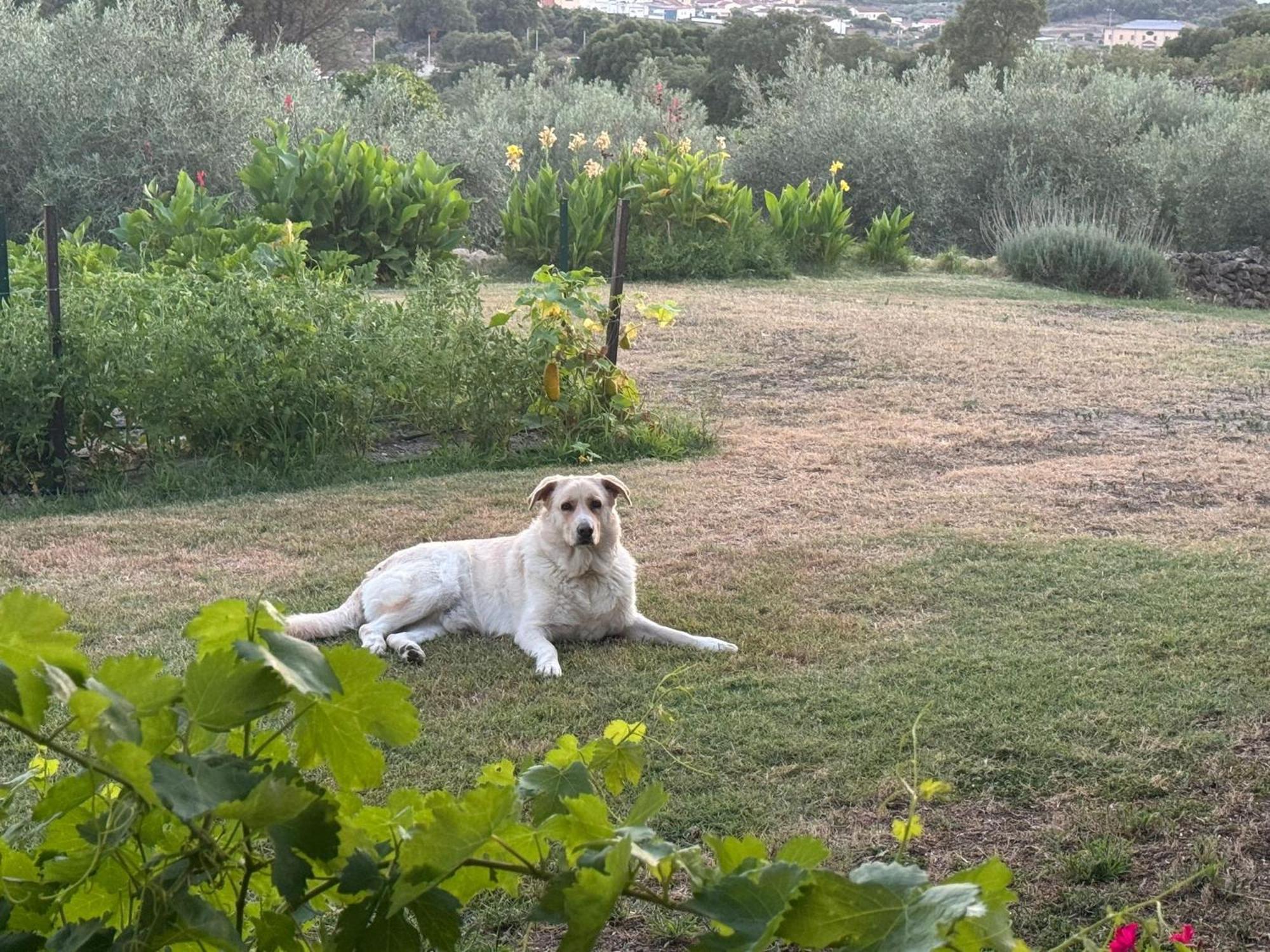 Casa Rural La Recuera Montanchez Bagian luar foto