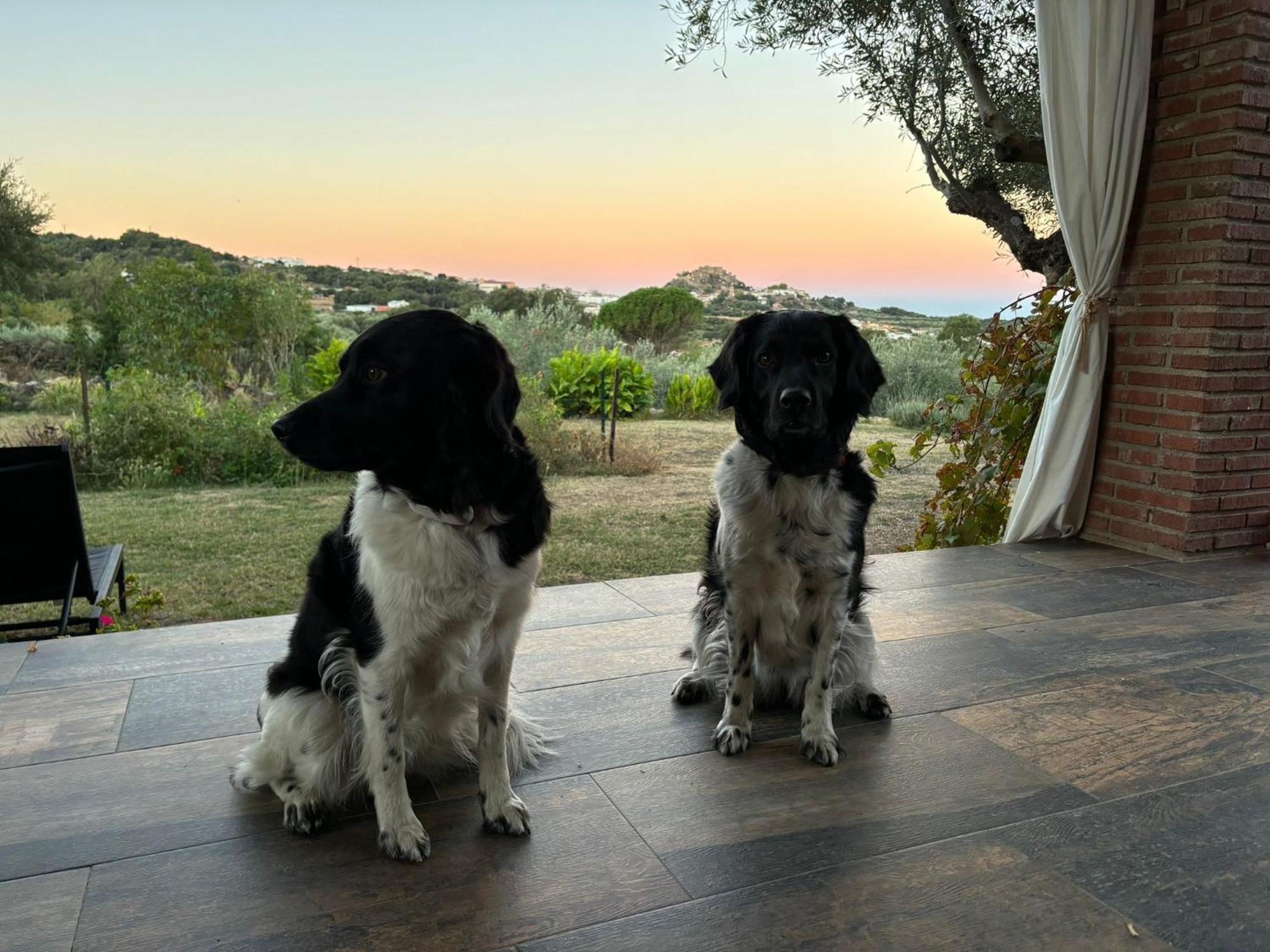 Casa Rural La Recuera Montanchez Bagian luar foto